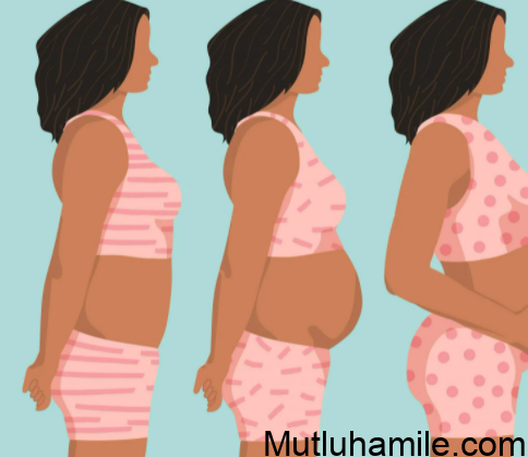 Hamilelikte Kız ve Erkek Bebek Belirtileri